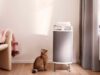 6 Kelebihan Blueair DustMagnet™ untuk Kebersihan Rumah Anda