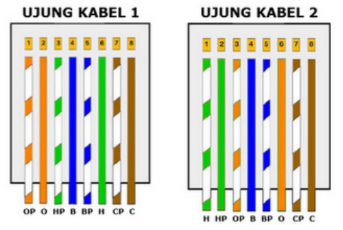 Urutan warna kabel jenis straight dan crossover