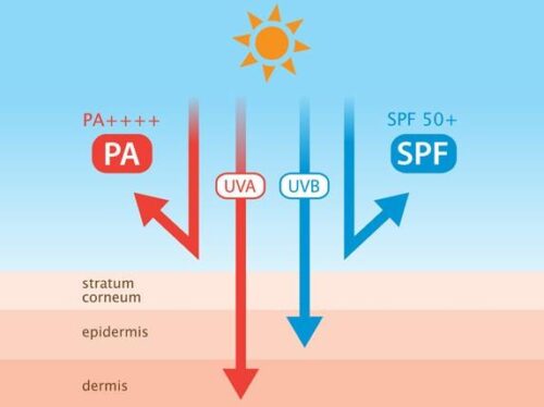beda SPF dan PA